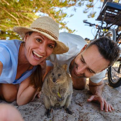 Quokka Rotnest Island 117015 3