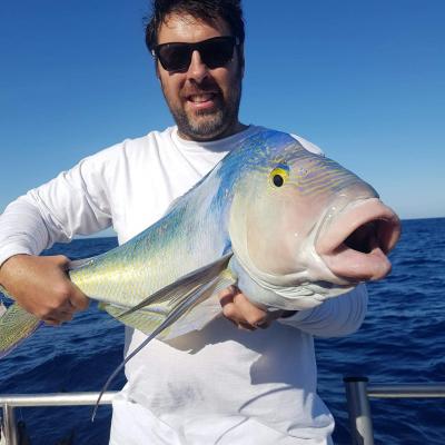 blue juice fishing