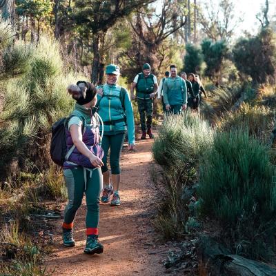 the hike collective
